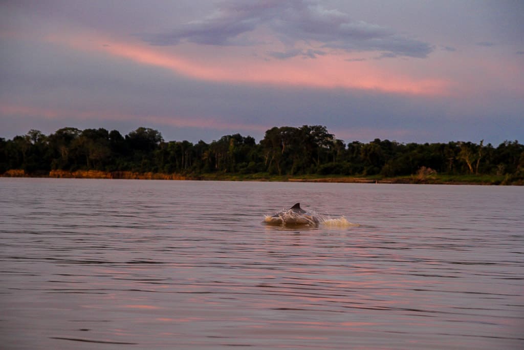 Managing your expectations is one of the tips for visiting the Amazon