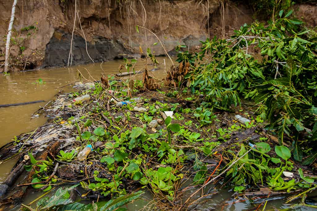 Not littering is one of the tips for visiting the Amazon