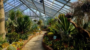 Escaping the cold in one of Toronto's conservatories is one of the things to do in Toronto this winter