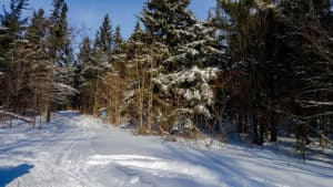 Getting outside is one of the things to do in Ontario this winter