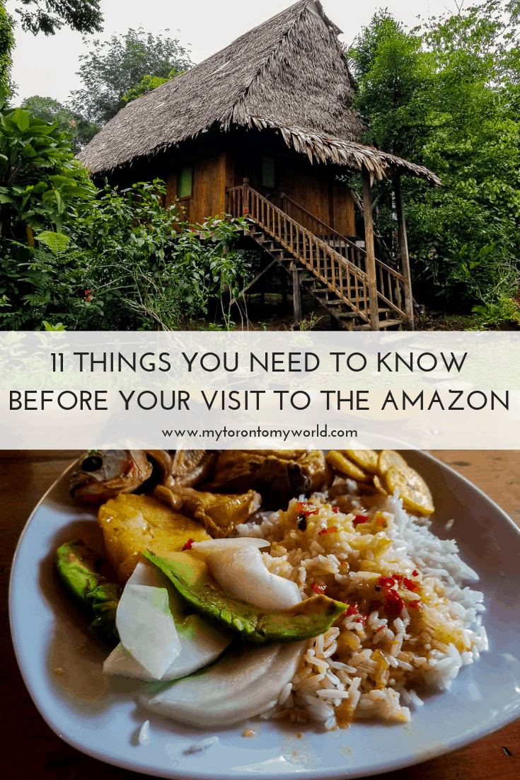 A comprehensive list of things you need to know before visiting the Amazon Rain Forest in Peru