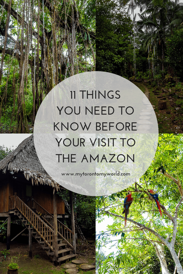A comprehensive list of things you need to know before visiting the Amazon Rain Forest in Peru