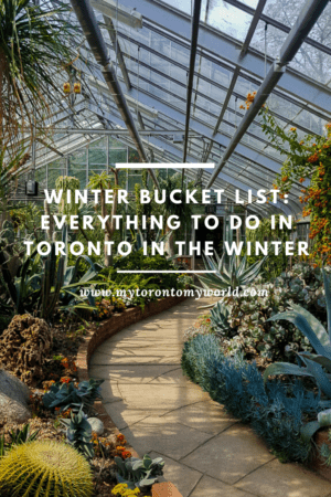 Toronto Winter Bucket List: 16 Things To Do In Toronto In Winter