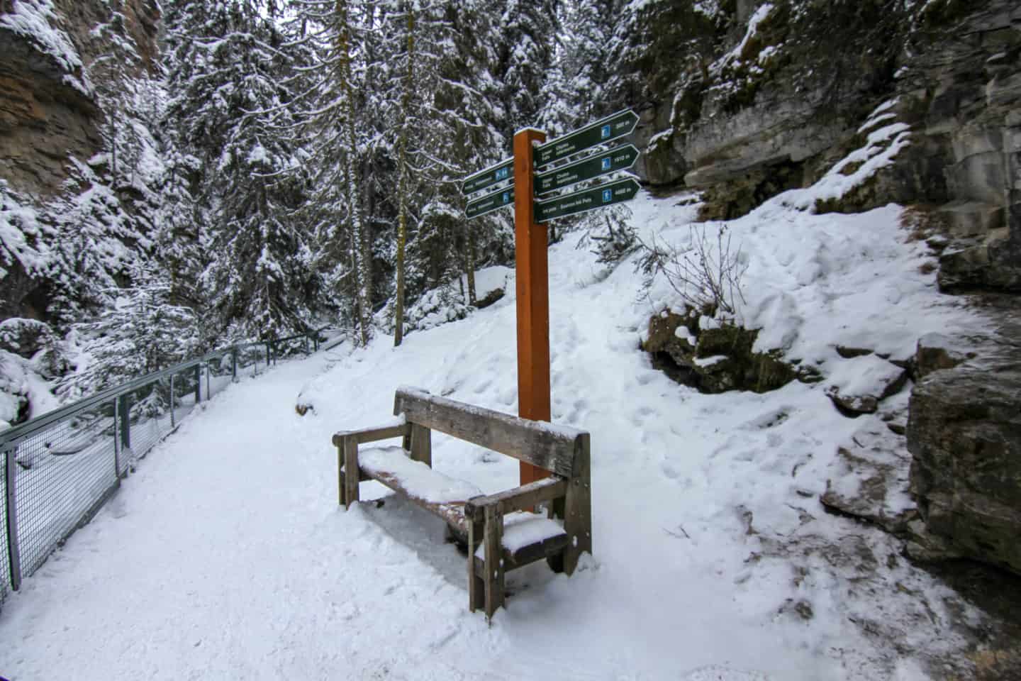 Hiking Johnston Canyon