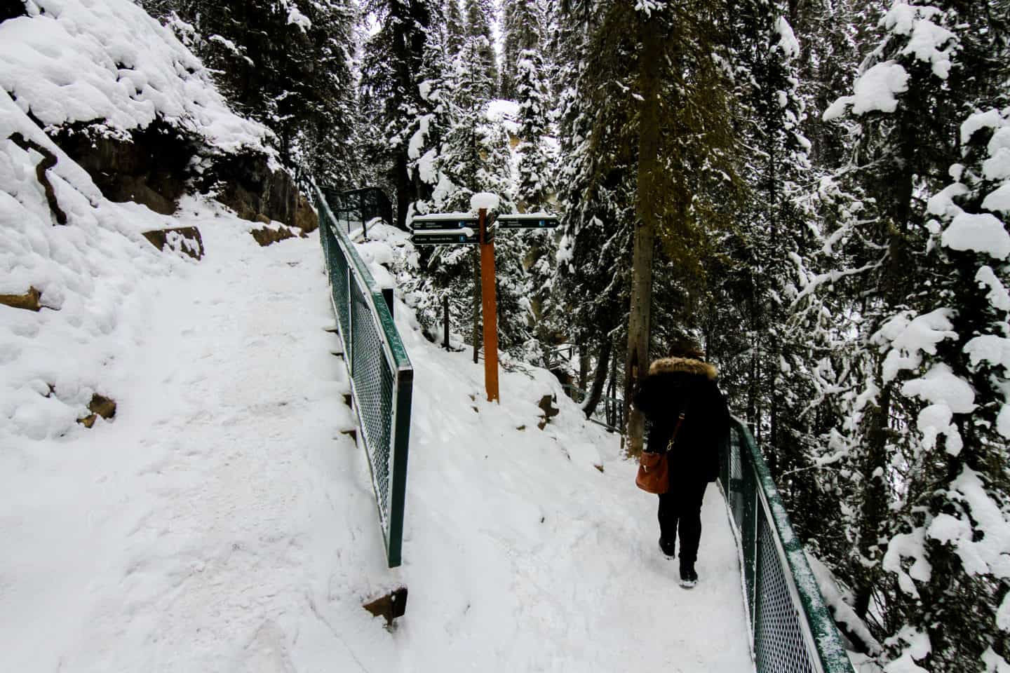 Hiking Johnston Canyon