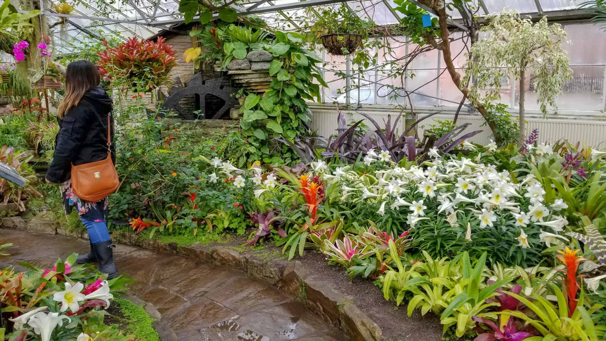Exploring Allan Gardens is one of the free things to do in Toronto Exploring Allan Gardens is one of the free things to do in Toronto