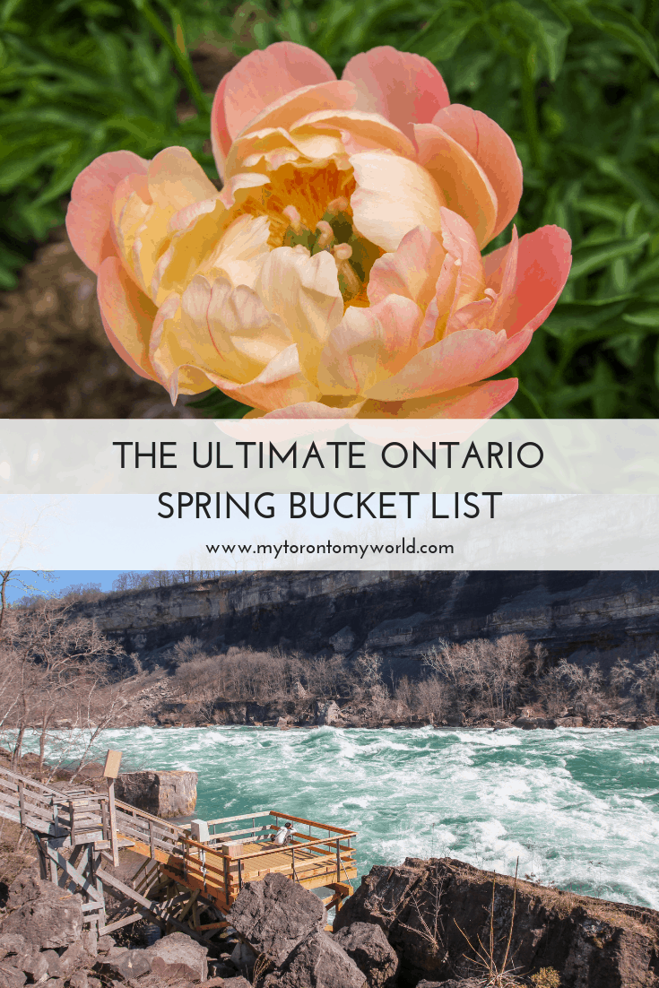 The Ultimate Ontario Spring Bucket List with all the things to do in Ontario in spring! #ontario #canada