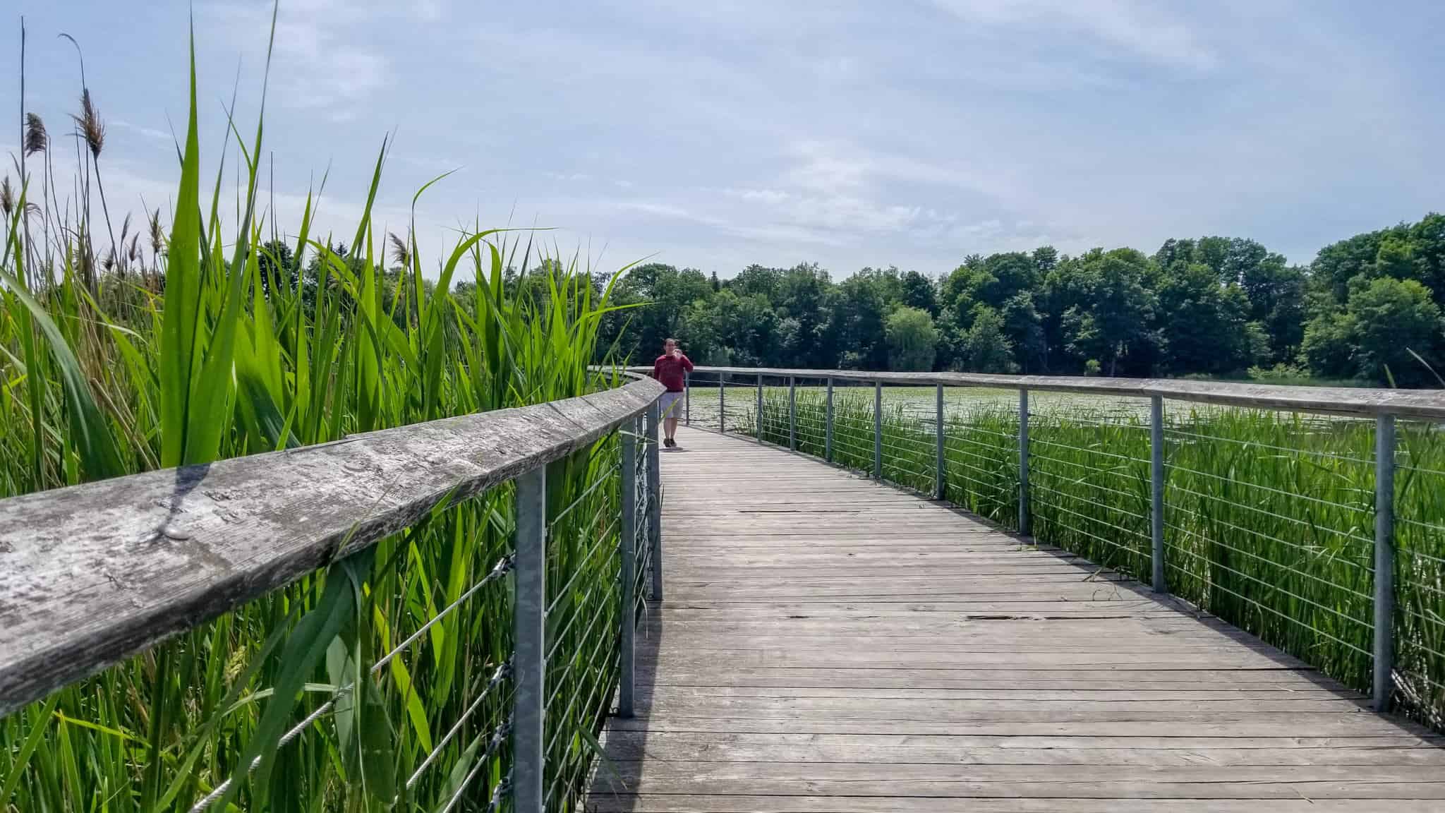 The boardwalk in Rouge Urban National Park