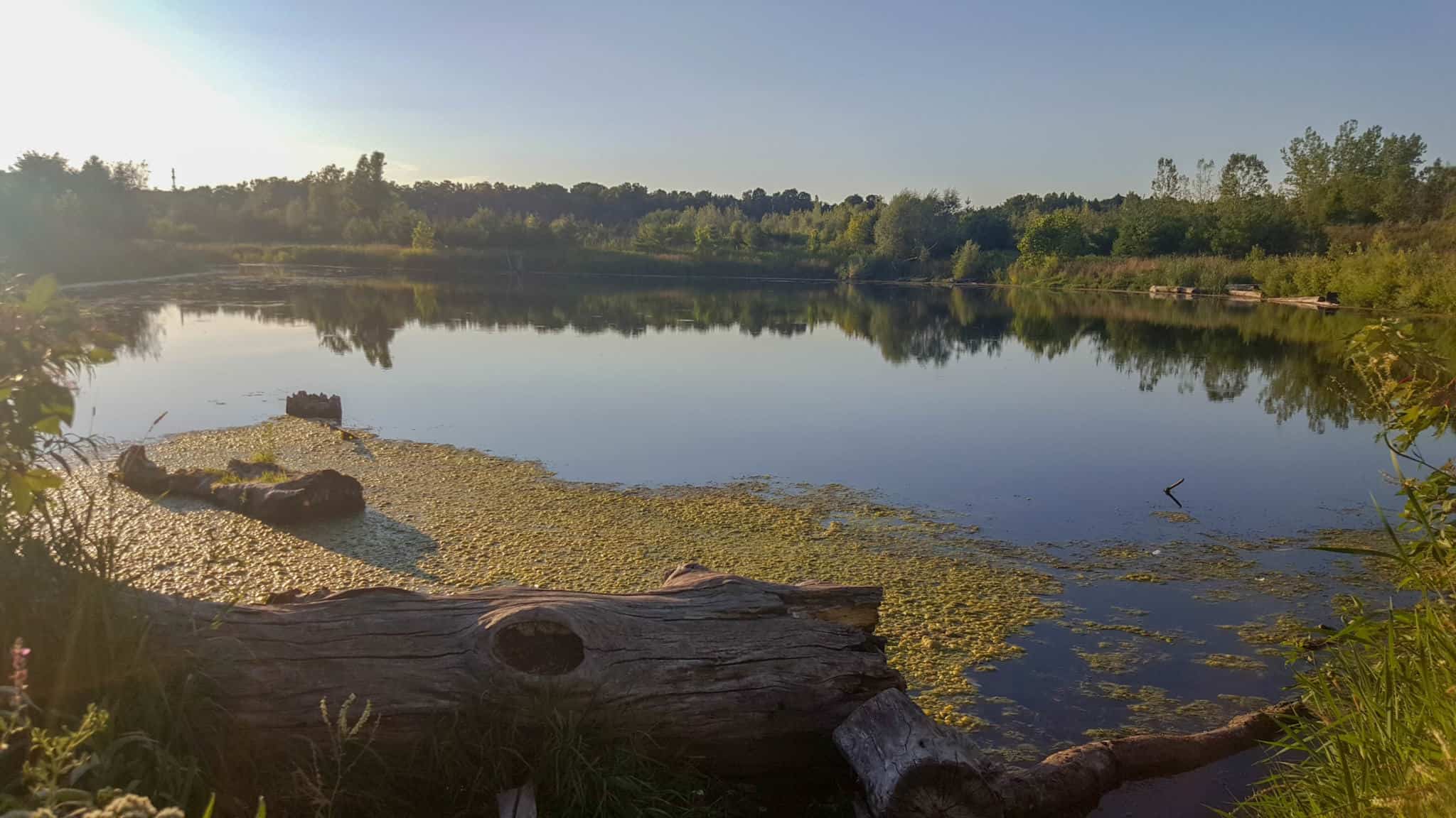 Exploring Rouge National Urban Park is one of the free things to do in Toronto Exploring Rouge National Urban Park is one of the free things to do in Toronto
