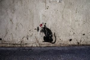 Little Rat under the London Bridge Little Rat under the London Bridge