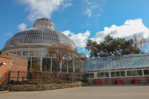 Allan Gardens is one of the things to do during one day in Toronto