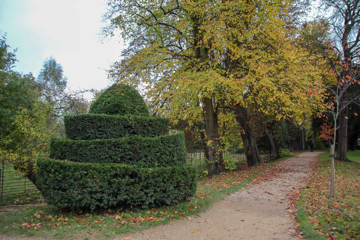 Addison's Walk at Magdalen College