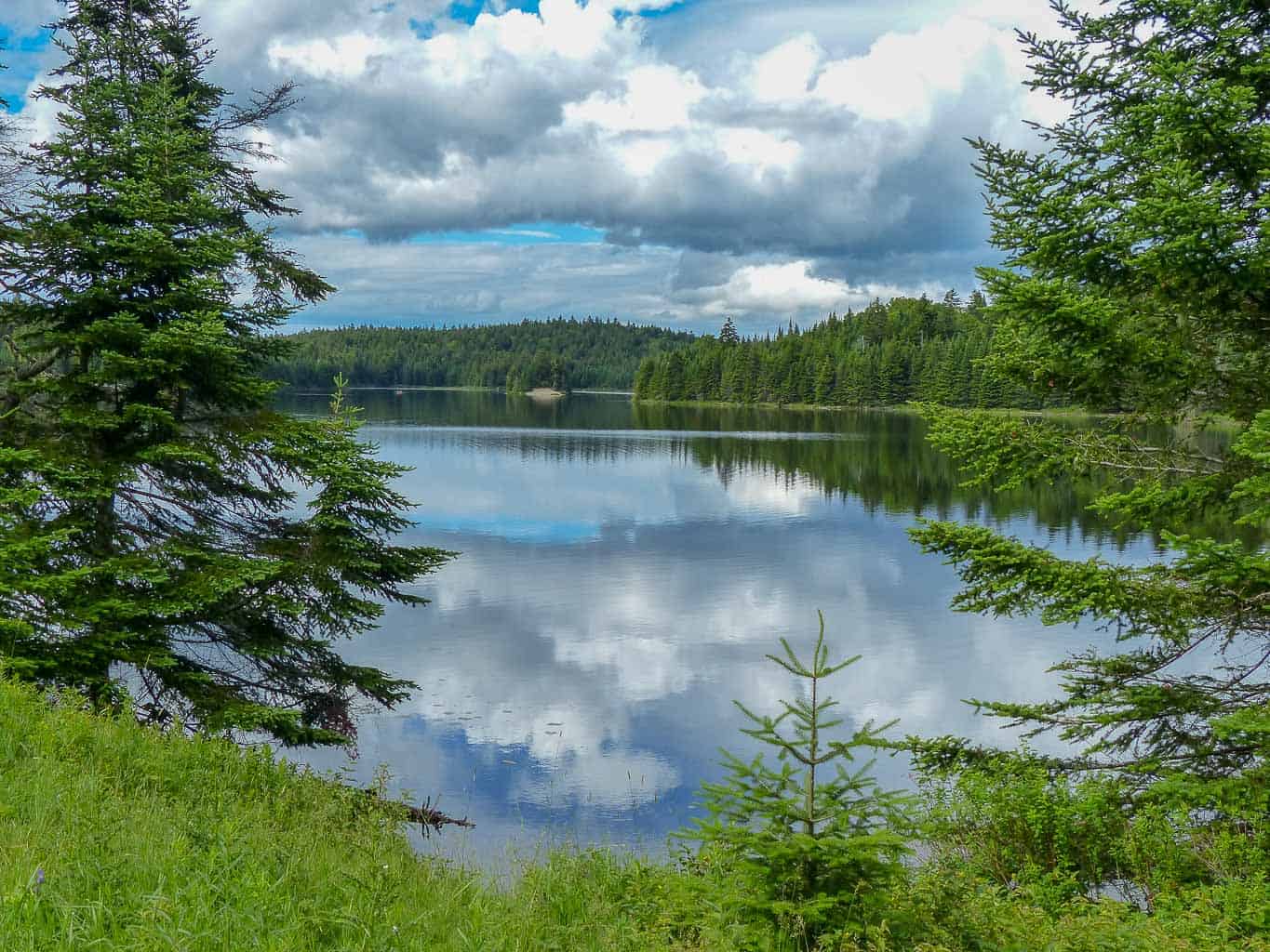 Fundy National Park is one of the best national parks in Canada