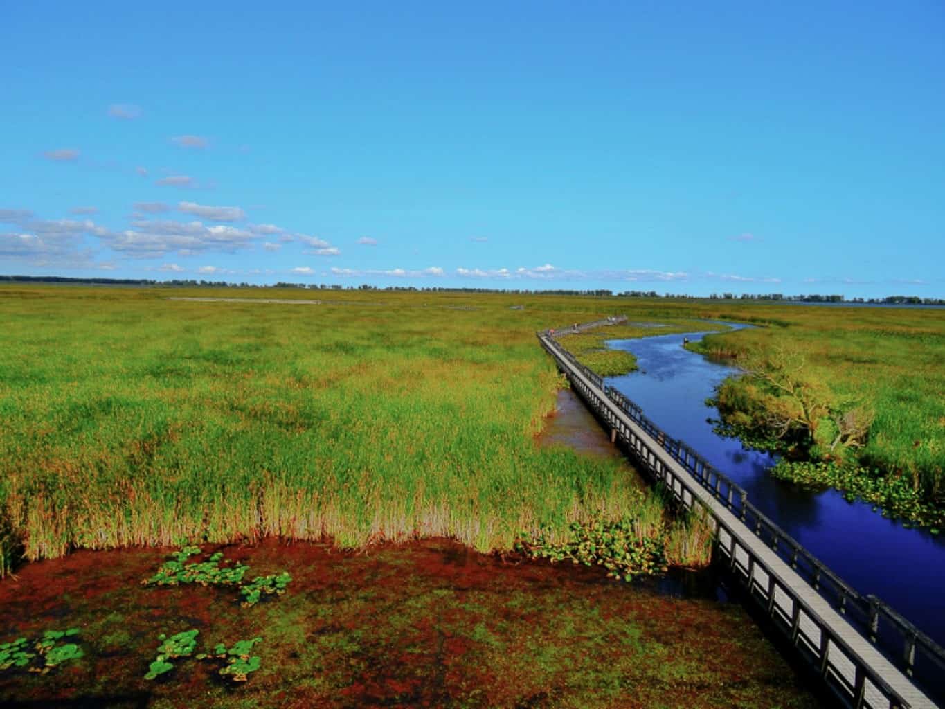 Point Pelee National Park is one of the best national parks in Canada