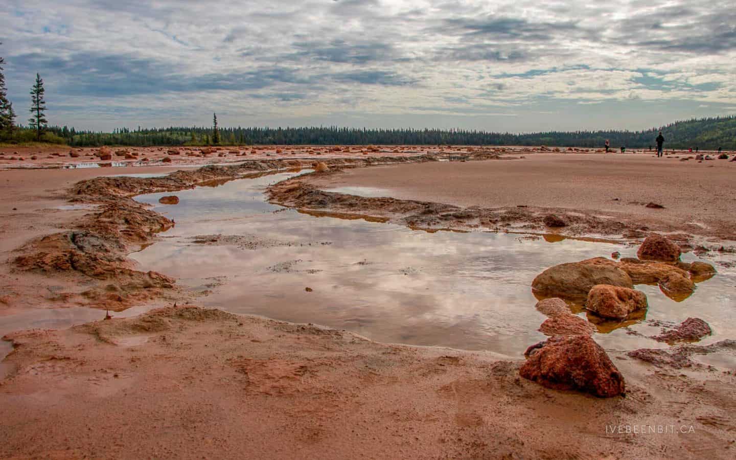 Wood Buffalo National Park is one of the best national parks in Canada