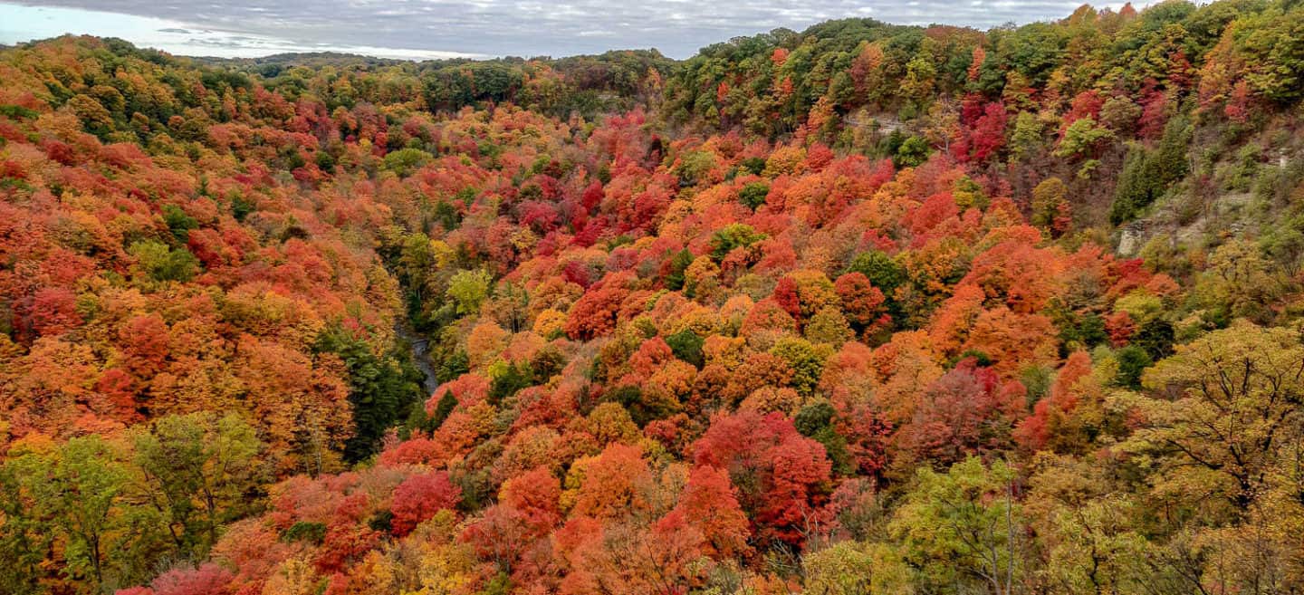 Hiking Dundas Peak