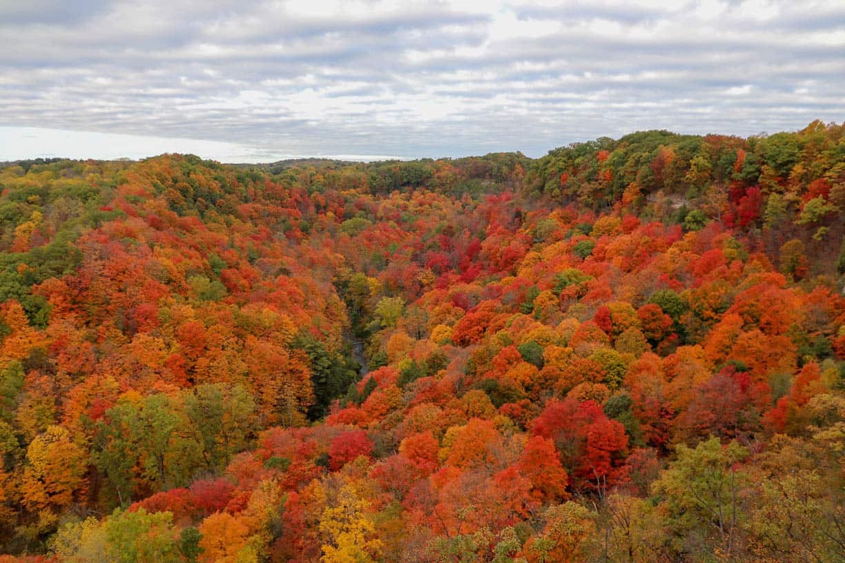 Hiking Dundas Peak