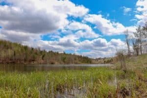 Forks of the Credit Provincial Park is one of the Provincial Parks Near Toronto