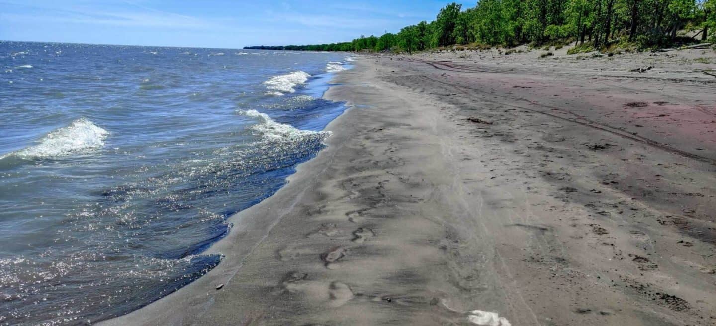 Long Point Provincial Park is one of the provincial parks near Toronto
