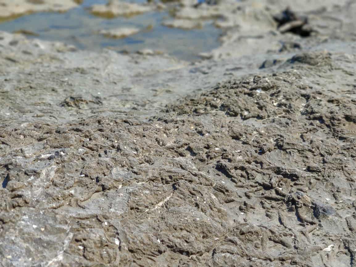 Rock Point Provincial Park is one of the provincial parks near Toronto