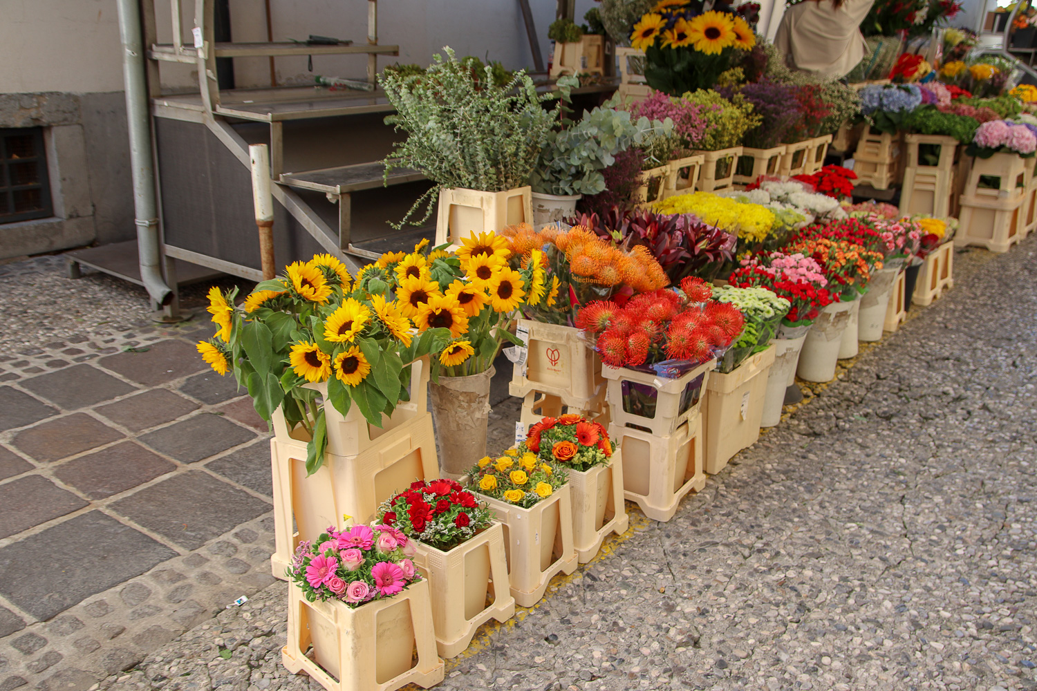 shopping at the central market and eating at open kitchen is one of the things to do in Ljubljana