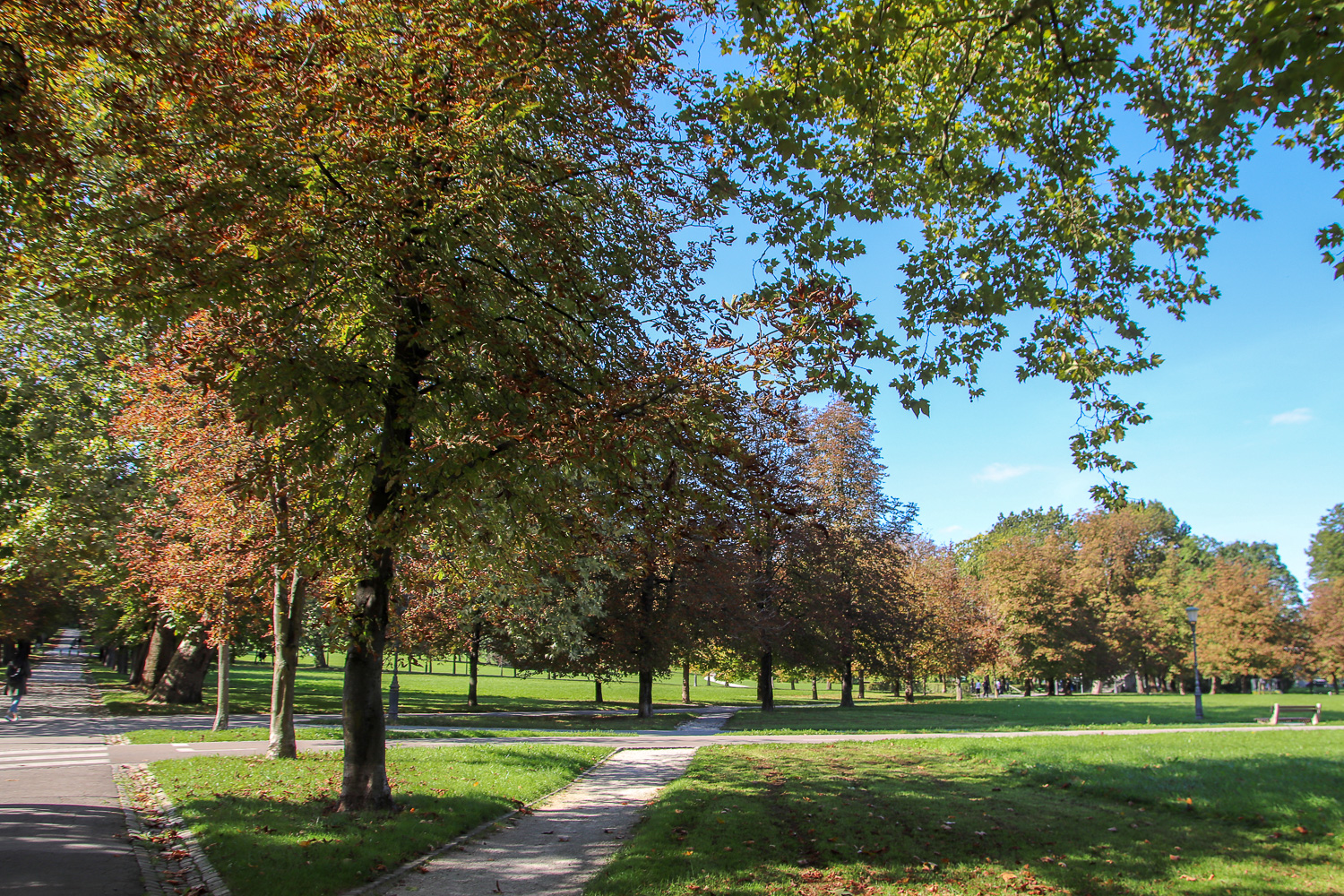 Walking around and relaxing in Tivoli Park is one of the things to do in Ljubljana