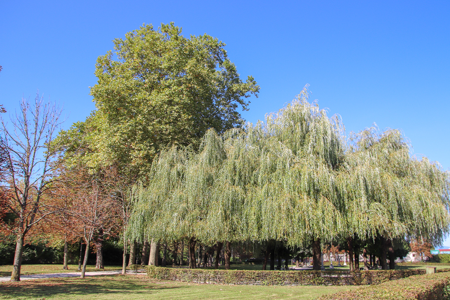 Walking around and relaxing in Tivoli Park is one of the things to do in Ljubljana