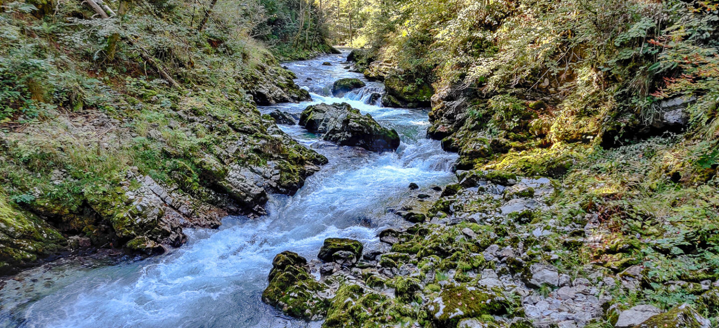 Vintgar Gorge
