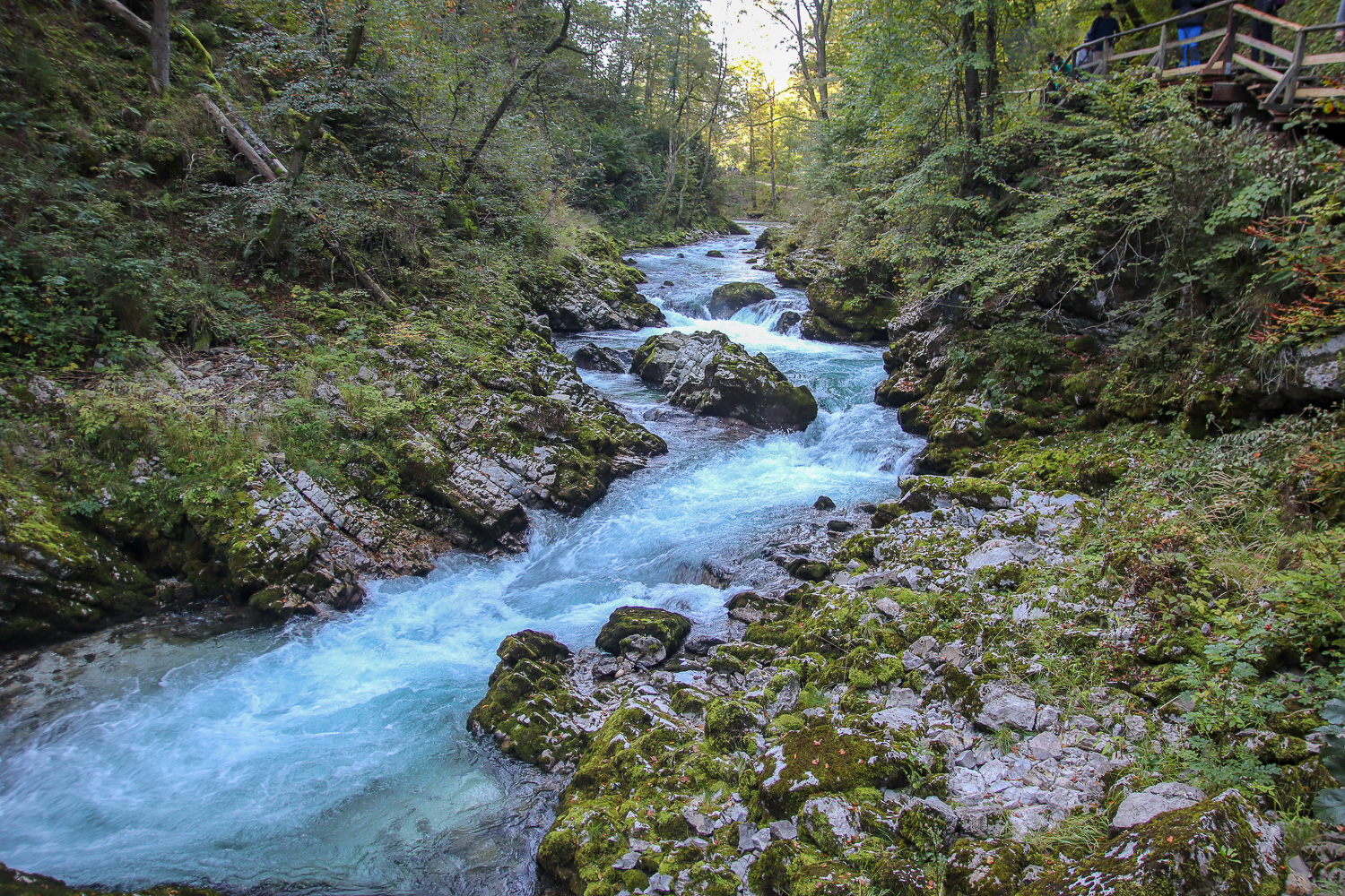 Details of the Vintgar Gorge