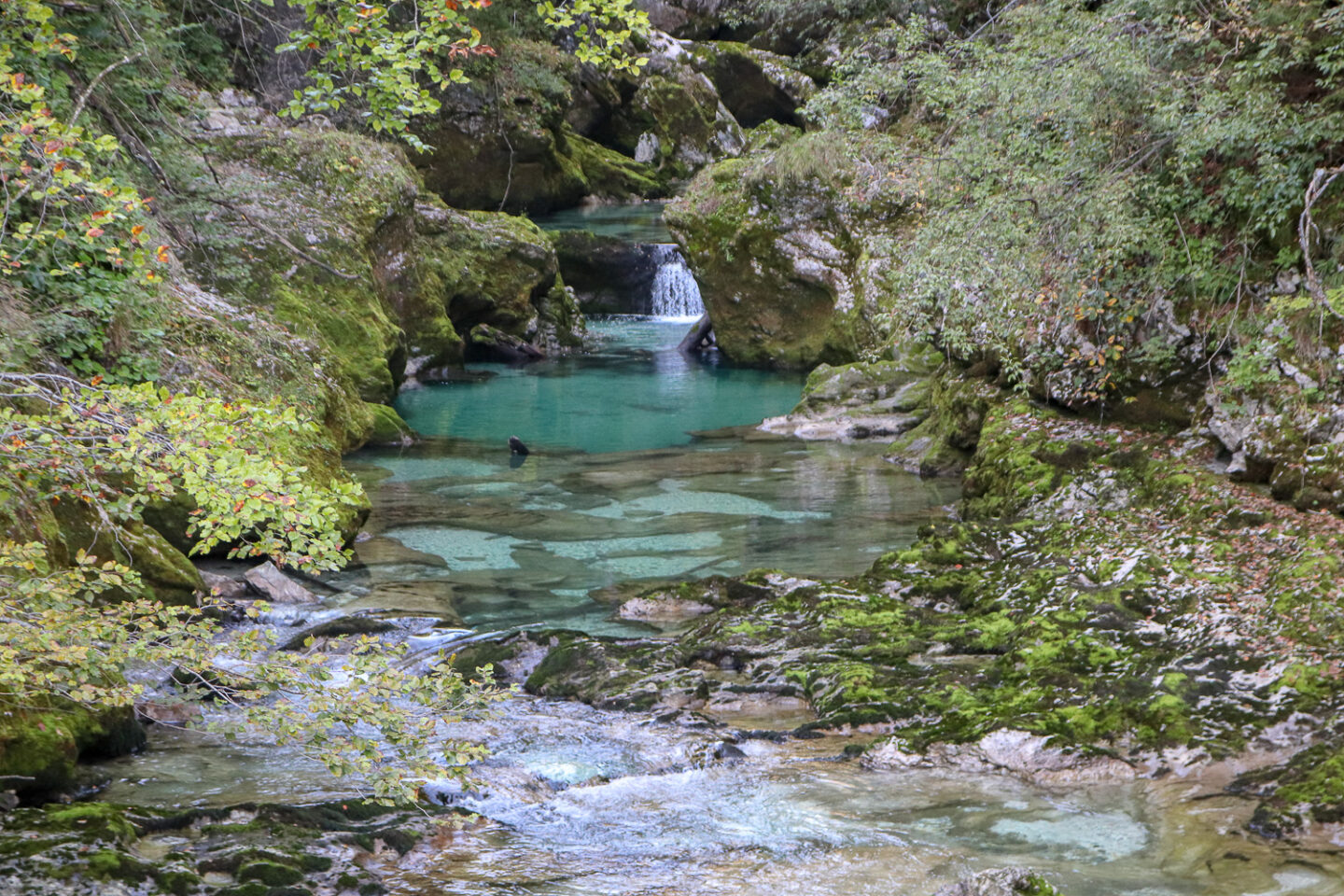Vintgar Gorge details