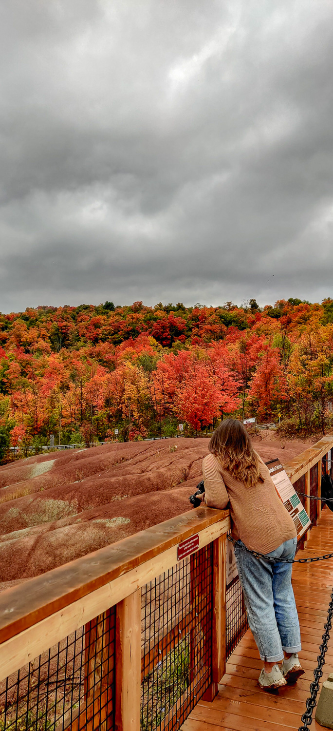 Visiting the Cheltenham Badlands is one of the day trips from Toronto I recommend